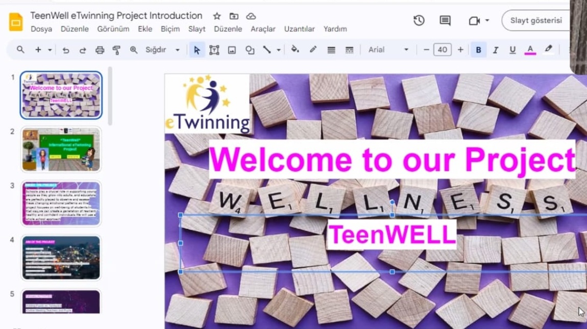 eTwinning Projemiz TeenWell çalışmalarına başladı. 